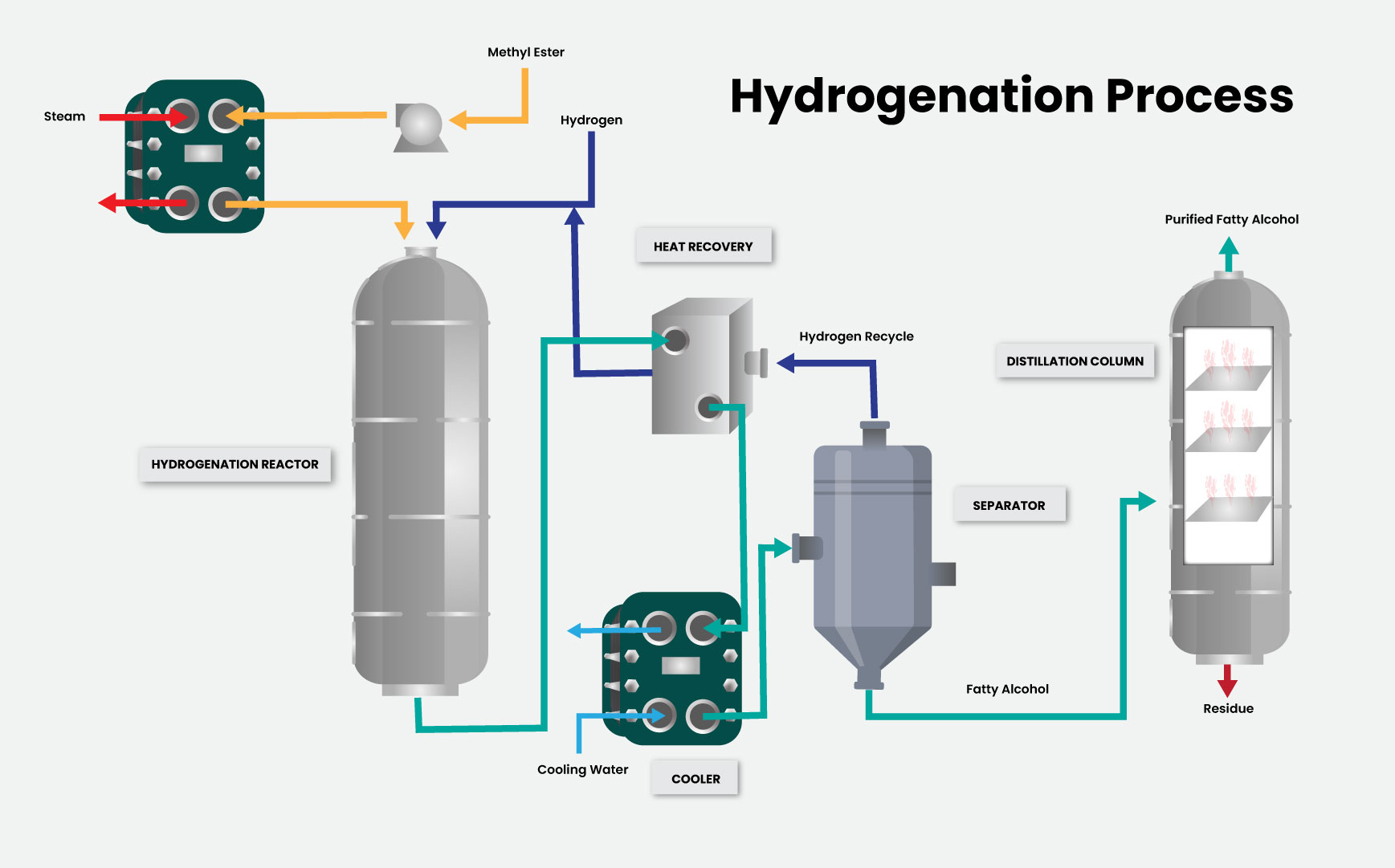 Fermentation Process