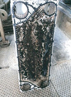 Issue 1: Serious glycerol fouling